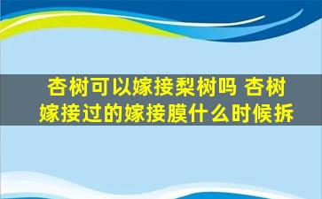 杏树可以嫁接梨树吗 杏树嫁接过的嫁接膜什么时候拆